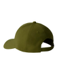 The North Face Recycled 66 Classic Hat