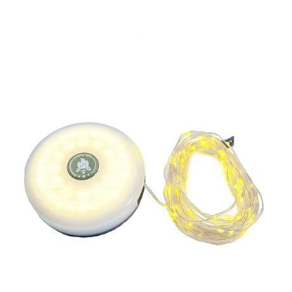 Zartek 10M Colour String ZA-361